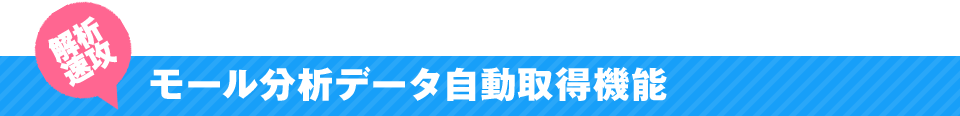 解析速攻 モール分析データ自動取得機能